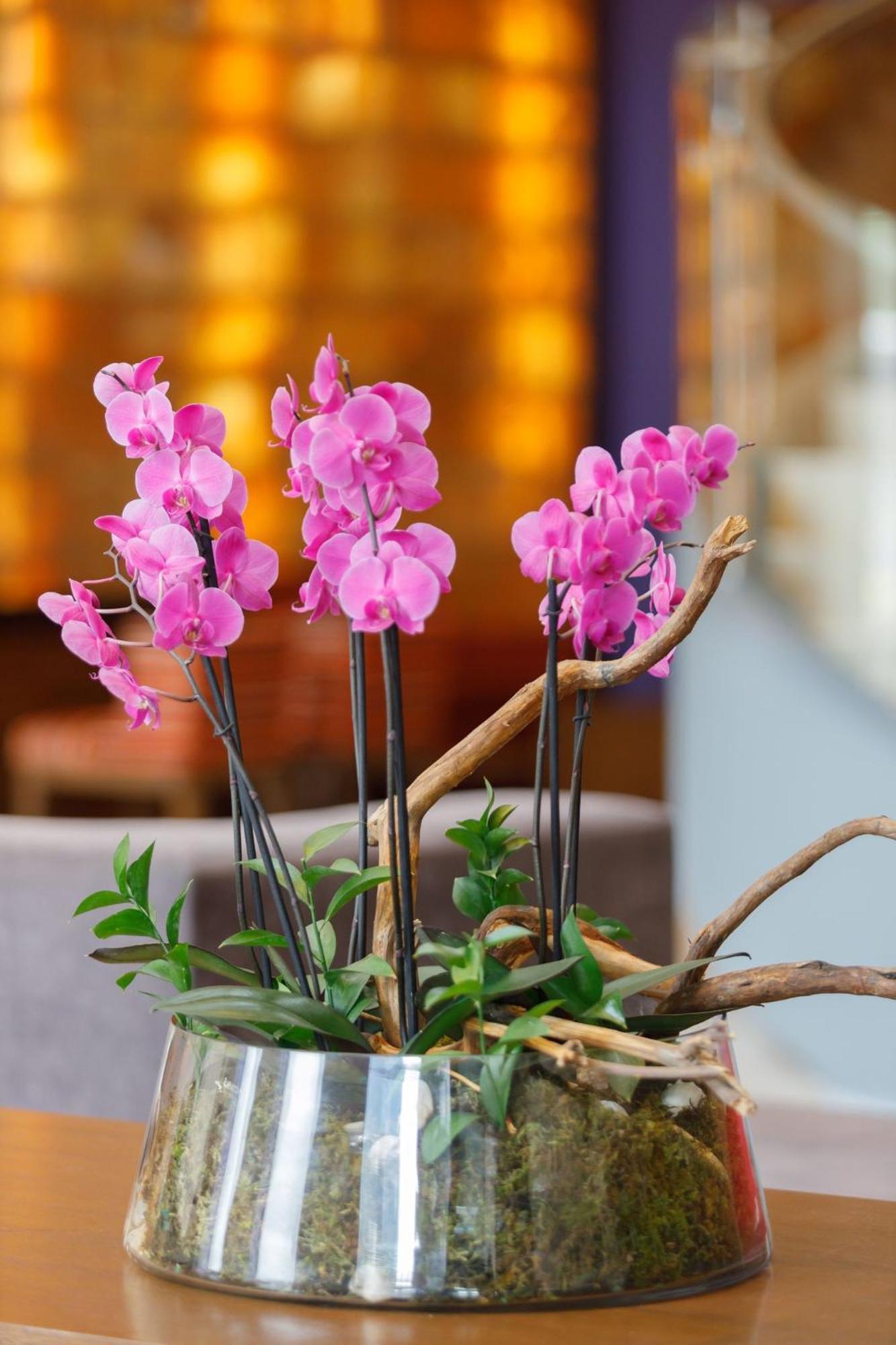 Camino Real Pedregal Mexico Hotell Exteriör bild Flower arrangement